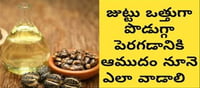 ఆముదపు గింజలు ఎలా ఉపయోగించాలో తెలుసా..?